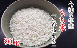 【ふるさと納税】【令和5年産】平泉町産もち米 こがねもち 30kg（30kg×1袋） / お米 こめ もちごめ 令和5年産 産地直送 国産 もち米の王