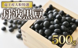 【ふるさと納税】丹波黒豆 500g 大粒特選 令和5年産 黒大豆 500g × 1袋 竜王産 大豆 丹波 黒豆 滋賀県 竜王町 黒豆茶 産地直送 送料無料