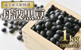 【ふるさと納税】丹波黒豆 1kg 大粒特選 令和5年産 黒大豆 500g × 2袋 竜王産 大豆 丹波 黒豆 滋賀県 竜王町 黒豆茶 送料無料