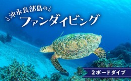 【ふるさと納税】沖永良部島のファンダイビング　2ボートダイブ