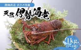 【ふるさと納税】【漁師直送】活き〆冷凍　 天然伊勢海老１ｋｇ（3〜4尾）