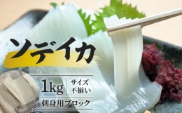 【ふるさと納税】【サイズ不揃い】ソデイカ・刺身用ブロック　 1Ｋg/沖永良部島特産