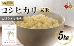 【ふるさと納税】特別栽培米 コシヒカリ ヒロシノキモチ 玄米 5kg 陽咲玲 米 お米 コメ ご飯 ごはん 富山県産 富山県 立山町 F6T-332