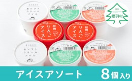 【ふるさと納税】【12月発送】南信州根羽村産 アイスアソート 8個セット アイスクリーム いちご 抹茶 生ソフトクリームアイス りんご