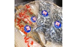 【ふるさと納税】さばのへしこ 2尾 混ぜり煮干し 500g×2 ( さば サバ 鯖 へしこ へしこサバ ぬか漬け 煮干し にぼし 海鮮 加工品 魚 お