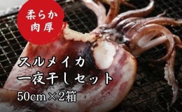 スルメイカ 冷凍の通販｜au PAY マーケット