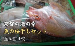 【ふるさと納税】京都宮津産 干物 ギフト (全5種 11枚) 贈答用 A[ 一夜干し 桜干し ] 魚 魚介 鰯 鯵 鰈 キダイ レンコダイ 冷凍 贈答 プ