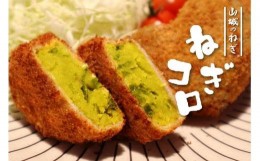 【ふるさと納税】ねぎ コロッケ 60g × 20個 入り 京野菜 山城 九条ねぎ 京都 山城 九条ネギ  冷凍 ＃ねぎに恋するコロッケ