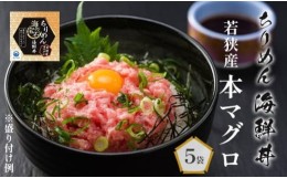 【ふるさと納税】 海の宝石 ちりめん 海鮮丼 40g×5袋 若狭産 本マグロ 魚 海鮮 どんぶり 夕食 料理 小分け 冷凍