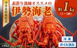 【ふるさと納税】■沖永良部島直送！素潜り漁師オススメのボイル済み冷凍伊勢海老　約1キロ（1〜3匹）！