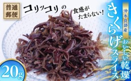 【ふるさと納税】【普通郵便】沖永良部島産  コリッコリの食感がたまらない！おいしい乾燥きくらげスライス20g！