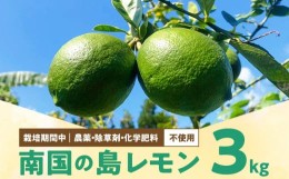 【ふるさと納税】■【先行受付】 栽培期間中　農薬・除草剤・化学肥料不使用！南国の島レモン３キロ！【8月下旬〜1月下旬】