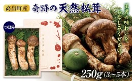 【ふるさと納税】≪先行予約≫2024年 山形県 高畠町産 松茸 つぼみ 250g(3〜5本) 2024年9月下旬から順次発送 国産 国内産 天然 まつたけ 