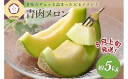 【ふるさと納税】【2024年8月上旬発送】津軽産青肉メロンご家庭用約5kg3〜6玉【青森メロン】