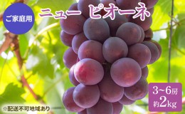 【ふるさと納税】ぶどう 2024年 先行予約 ご家庭用 ニュー ピオーネ 3〜6房 約2kg ブドウ 葡萄  岡山県産 国産 フルーツ 果物