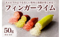 【ふるさと納税】【先行受付】フィンガーライム　50g