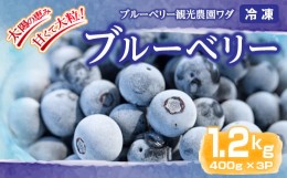 【ふるさと納税】141-2 冷凍ブルーベリー 1.2kg［400g×3P］