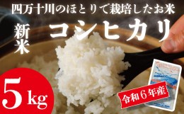 【ふるさと納税】24-950．【令和6年産新米・早期受付】最後の清流「四万十川」のほとりで栽培したお米！四万十市産コシヒカリ5kg【2024年