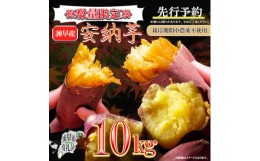 【ふるさと納税】【訳あり】栽培期間中農薬不使用 さつまいも「安納芋」10kg / いも イモ 芋 さつまいも サツマイモ 安納芋 野菜 スイー