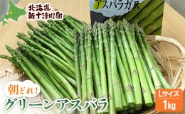 【ふるさと納税】グリーンアスパラLサイズ1kg　※令和6年5月中旬〜6月中旬のお届け【12015】