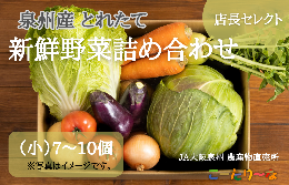 【ふるさと納税】直売所店長セレクト季節の野菜セット 005A178