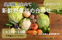 【ふるさと納税】直売所店長セレクト季節の野菜セット 099H139