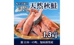 【ふるさと納税】＜先行受付＞＜訳あり＞知床斜里産 天然秋鮭の切り身 約1.3kg 船上活締め【1430538】