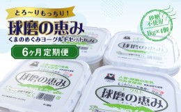 【ふるさと納税】【6ヶ月定期便】球磨の恵みヨーグルトセット（砂糖不使用1kg×4個）計24kg