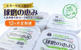 【ふるさと納税】【12ヶ月定期便】球磨の恵みヨーグルトセット（砂糖不使用1kg×4個）計48kg