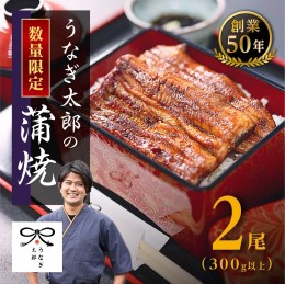 【ふるさと納税】【蒲焼2尾（合計300g以上）】！創業50年・職人による手焼き　大隅産うなぎ