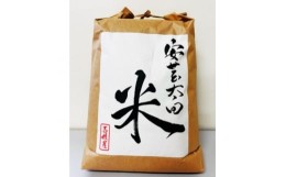 【ふるさと納税】＜令和5年産＞コシヒカリ　玄米5kg×2袋　計10kg【1443662】