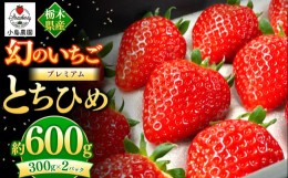 【ふるさと納税】【先行予約】いちご 幻のイチゴ とちひめ 600g | 栃木県 数量限定 希少品種 栃木県 いちご日本一のまち 真岡市