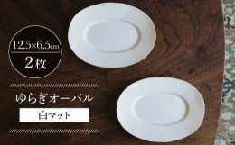 【ふるさと納税】【波佐見焼】ゆらぎオーバル 白マット 2枚セット 食器 皿【イロドリ】 [KE55]