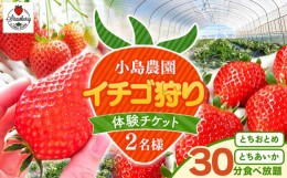 【ふるさと納税】【先行予約】小島農園いちご狩りチケット 2名