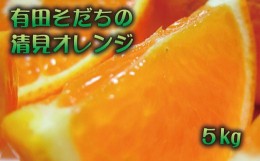 【ふるさと納税】【2025年2月下旬〜3月下旬順次発送予定】有田育ちの完熟清見オレンジ(ご家庭用)　約5kg