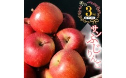 【ふるさと納税】こだわり農家の 有機質肥料栽培 りんご 3kg 秀品 「サンふじ」（7〜9玉） 【2024年11月頃より順次発送予定】 ／ お取り