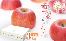 【ふるさと納税】雪室りんご 3kg「樹上完熟 ふじりんご」 小玉サイズ 山形産 【2025年1月下旬頃〜3月初旬頃 発送予定】／ お取り寄せ ご