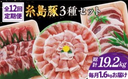 【ふるさと納税】【全12回定期便】糸島 豚 バラエティ セット ( しゃぶしゃぶ / 肩ロース / とんかつ )糸島市 / トラヤミートセンター [A