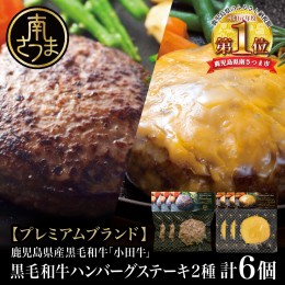 【ふるさと納税】【プレミアムブランド】鹿児島県産黒毛和牛「小田牛」 牛肉100％ 2種類のハンバーグステーキ 計6個（120g×各3個）