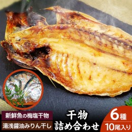 【ふるさと納税】新鮮魚の梅塩干物と湯浅醤油みりん干し6品種10尾入りの詰め合わせ(和歌山近海産の新鮮魚使用)《90日以内に出荷予定(土日