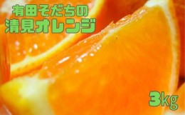 【ふるさと納税】【2025年2月下旬〜3月下旬順次発送予定】有田育ちの完熟清見オレンジ(ご家庭用)　約3kg