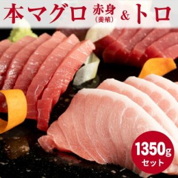 【ふるさと納税】AZ6020_本マグロ （養殖） 赤身 ＆ トロ セット 1350g