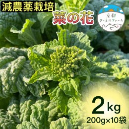 【ふるさと納税】【来シーズン予約】菜の花 2kg（200g×10パック）京都府産【京都クーネルファーム】減農薬栽培 ※着日指定不可 ※2024年