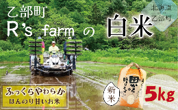 【ふるさと納税】＜北海道の米（５kg）〜ふっくらつややか！若い農家が作る新米〜＞