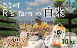 【ふるさと納税】＜北海道の米（１０kg）〜もっちり柔らか！若い農家が作る新米〜＞