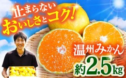 【ふるさと納税】【期間限定】長崎県産 温州みかん 約2.5kg / みかん 柑橘 2.5kg フルーツ 果物 / 大村市 / 山光農園[ACAI001]