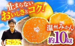 【ふるさと納税】【期間限定】長崎県産 温州みかん 約10kg / みかん 柑橘 10kg フルーツ 果物 / 大村市 / 山光農園[ACAI003]