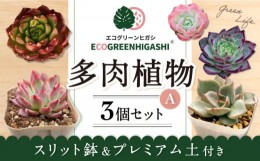 【ふるさと納税】オリジナル鉢付き！かわいい売れ筋多肉植物お届けセットA / 観葉植物 多肉 多肉植物 インテリア / エコグリーンヒガシ /