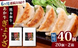 【ふるさと納税】【全6回定期便】熊本県産 あか牛 ぎょうざ 計40個 ( 20個 × 2箱 ) 熊本和牛【有限会社 三協畜産】[YCG077]