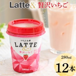【ふるさと納税】DT04_latte&　贅沢いちご　12本 ※着日指定不可